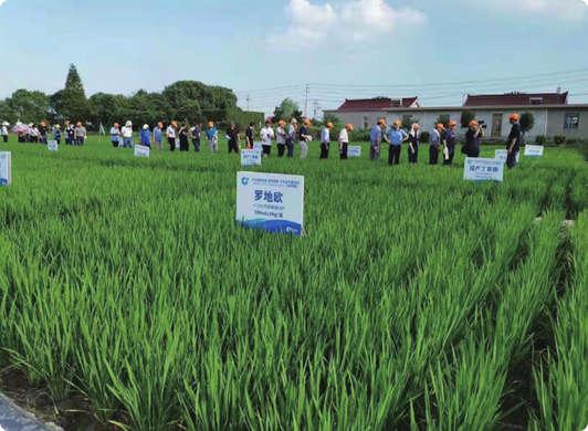 Green Pesticides